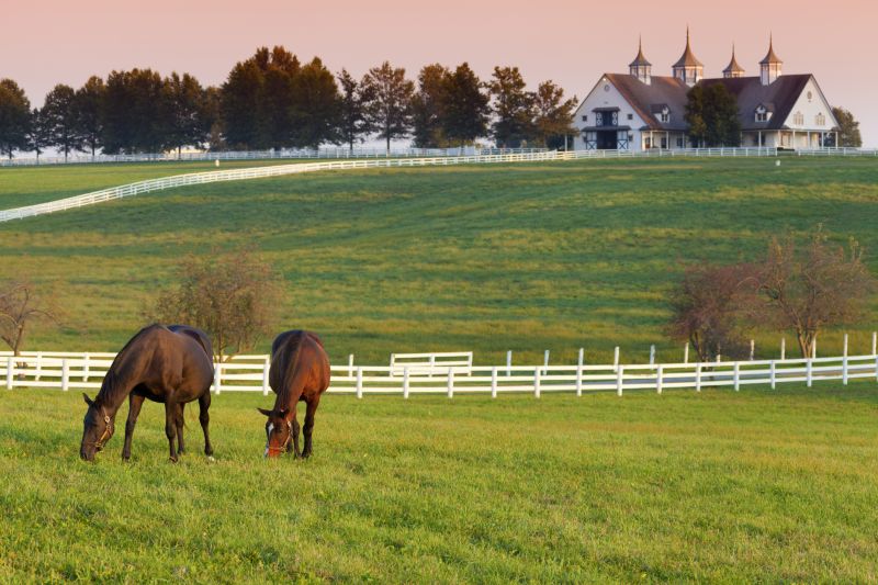 Farm Fencing Installation