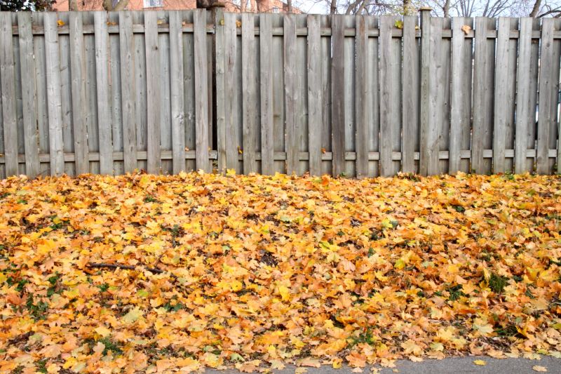 Fall Fencing