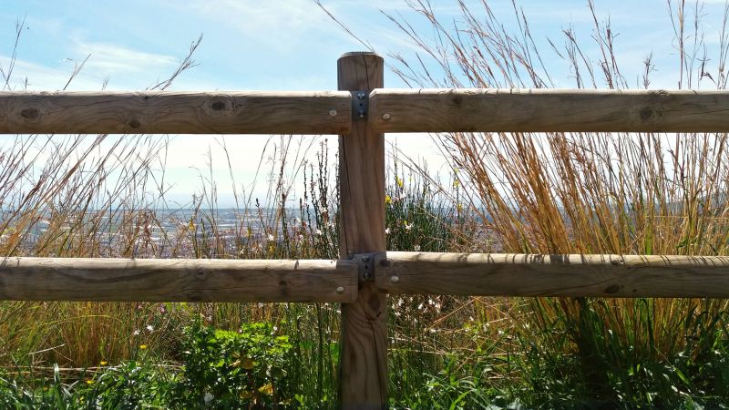 Local Farm Supply Companies